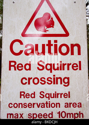 Red Squirrel Crossing Sign Stock Photo