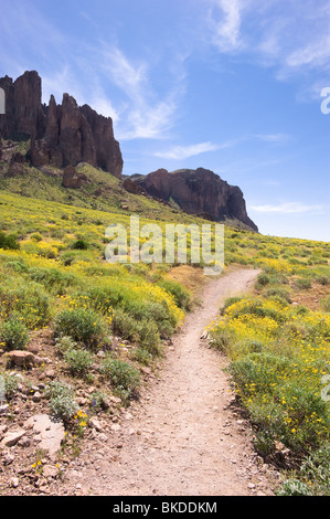 A dirt path during a spring day in the desert Stock Photo