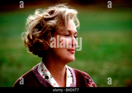 ONE TRUE THING (1998) MERYL STREEP 1TRT 002 Stock Photo