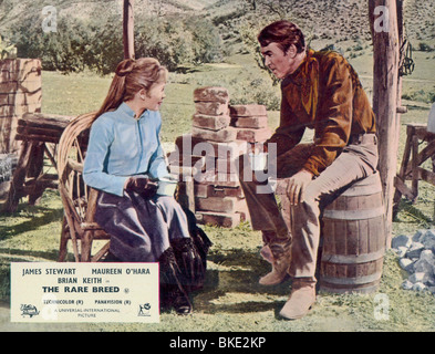 THE RARE BREED, Maureen O'Hara, James Stewart, 1966 Stock Photo - Alamy