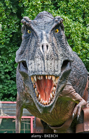 T Rex Tyrannosaurus Rex dinosaur Stock Photo