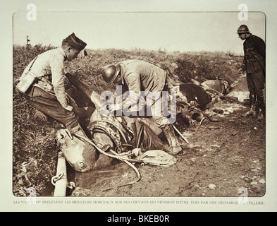 WWI soldiers butchering dead horses for the meat after bombardment in West Flanders during First World War One, Belgium Stock Photo