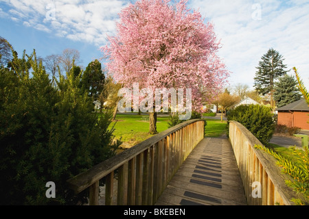 Crystal Spring Creek, Westmoreland Park, Portland, Oregon, Usa Stock Photo