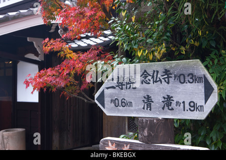 Arashiyama autumn tint