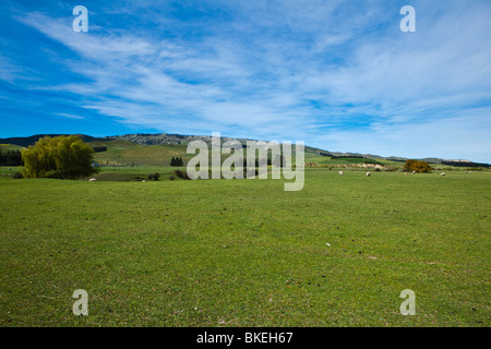 Spring weather in New Zealand Stock Photo