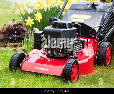 A Champion petrol lawn mower ready for the first grass cut of the year. Stock Photo