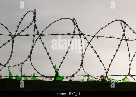 Broken glass and barbed/razor wire on top of a wall to deter burglars ...