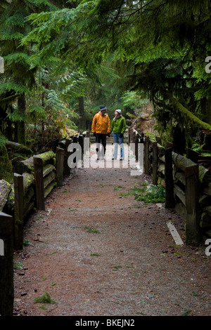 Man and Woman walking down a trail in an old growth forest, Cathedral Grove, BC, Canada Stock Photo