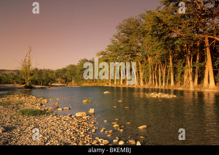 Cypress trees over Frio River at sunset, Garner State Park, Texas, USA Stock Photo