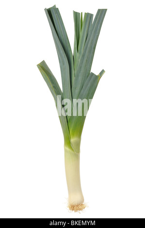 Leek Stock Photo
