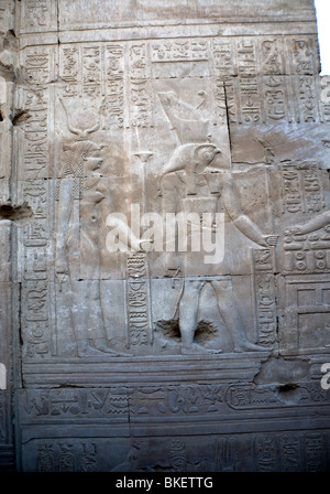 Carved relief on the wall in the Kom Ombo Temple. Stock Photo