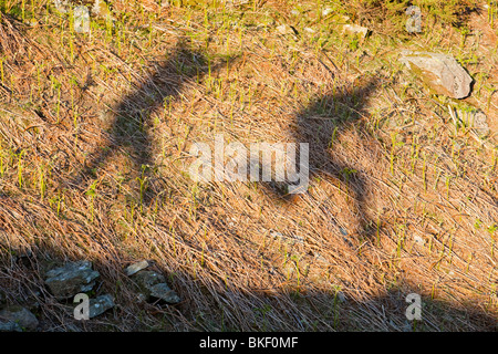 The shadows 2 men jumping in the Lake District, UK Stock Photo