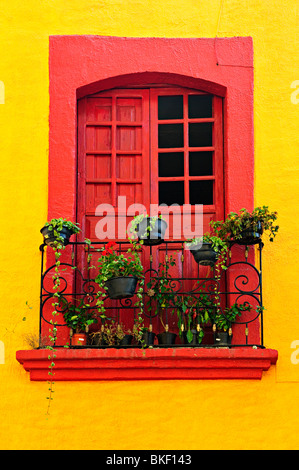 Red painted window with plants and wrought iron railing in Mexico Stock Photo