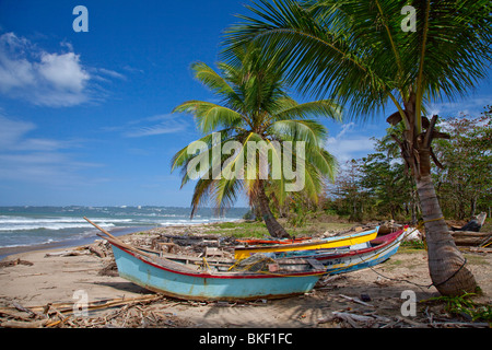 Palm trees and old fishing boats line the coast of western Puerto Rico. Stock Photo