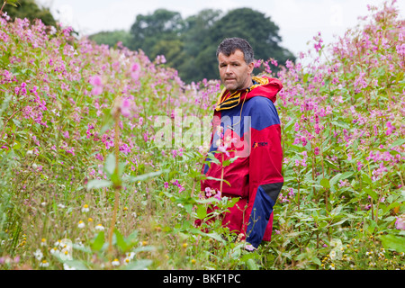 Dr Jeff Warburton from Durham University Geography Department walks through the highly invasive foreign plant, Himalayan Balsam Stock Photo