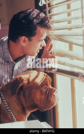 TURNER AND HOOCH (1989) TOM HANKS TRH 009 Stock Photo