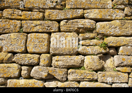A stone wall with lichen growing on it. Stock Photo