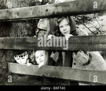 WHISTLE DOWN THE WIND Diane Holgate 1961 Stock Photo Alamy whistle-down-the-wind-diane-holgate-1961-stock-photo-alamy