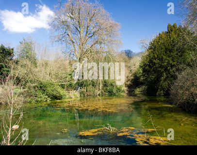 The Silent Pool near Newlands Corner on the North Downs in Surrey Stock Photo