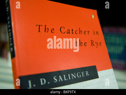 The catcher in the rye Cut Out Stock Images & Pictures - Alamy