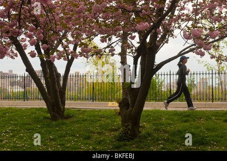 Woman running on  the 1.57 mile (2.5k) path that encircles the Jacqueline Kennedy Onassis Reservoir in Central Park Stock Photo