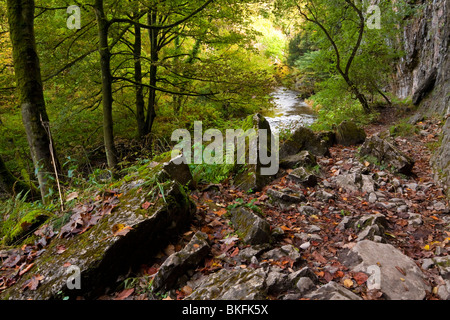 River Wye with rocks in foreground at Chee Dale near Bakewell in the Peak District National Park Derbyshire England UK Stock Photo