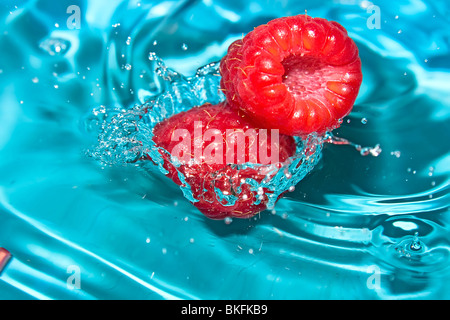 Fresh raspberries dropped to clear, blue water. Splash with fruits. Stock Photo