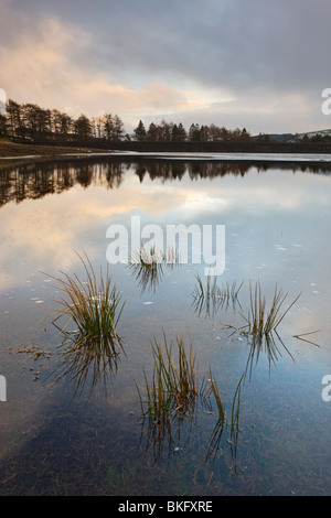 Upper Neuadd Reservoir, Brecon Beacons National Park, Powys, Wales, UK. Winter Stock Photo