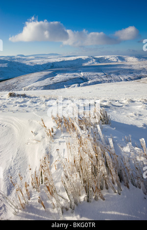 Frozen grass on the snow covered slopes of Corn Du mountain in the Brecon Beacons National Park, Powys, Wales, UK. Stock Photo