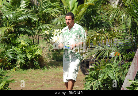 50 FIRST DATES (2004) ADAM SANDLER 50FD 001-FH Stock Photo