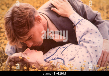 BABY BLUE MARINE (1976) JAN-MICHAEL VINCENT, GLYNNIS O'CONNOR BBM 003 Stock Photo