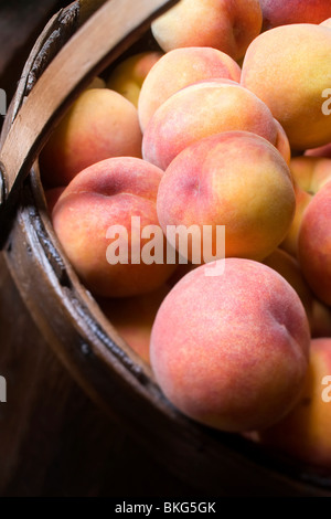 The basket overflows with peaches fresh from the harvest. Stock Photo