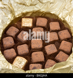 Luxury fair trade Champagne chocolate Truffles, dusted in cocoa powder. Stock Photo