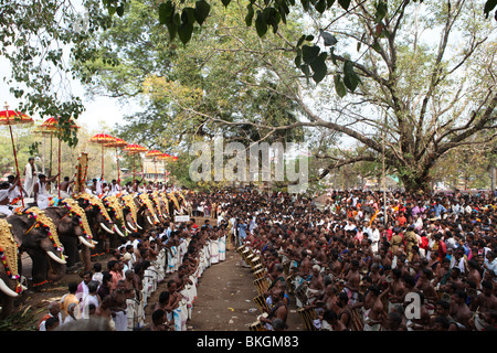 thrissur pooram,conducted every year in april/may,with caparisoned elephants,drum playing attracting huge crowd Stock Photo