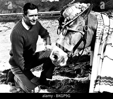 MISTER ED (TV) MR ED (ALT) ALAN YOUNG MED 001PP Stock Photo