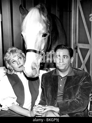 Connie Hines, Mister Ed & Alan Young Television: Mister Ed (TV-Serie