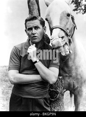 MISTER ED (TV) MR ED (ALT) ALAN YOUNG MED 004P Stock Photo