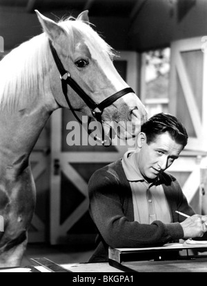 MISTER ED (TV) MR ED (ALT) ALAN YOUNG MED 009P Stock Photo