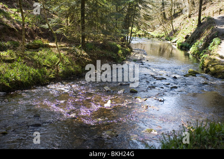 England Devon Lydford gorge Stock Photo