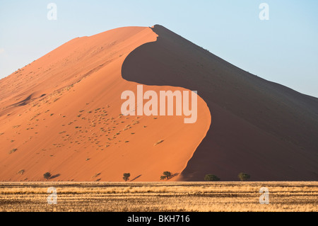Strong Morning Sun Casts Shadows on Dune 45 in Sossusvlei, Namibia
