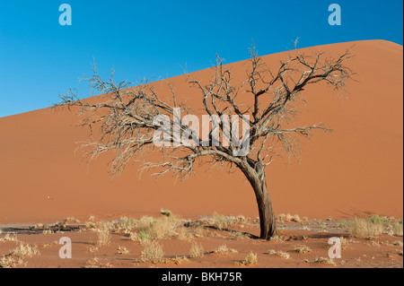 Dune 45 in Sossusvlei, Namibia