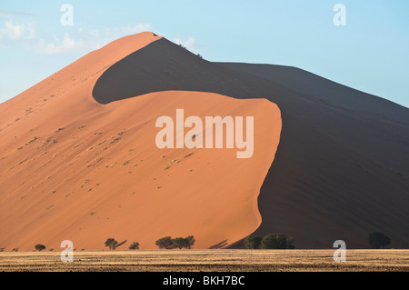 The Strong Morning Sun Casts Shadows on Dune 45 in Sossusvlei, Namibia