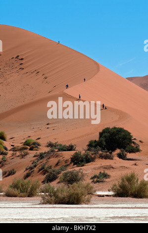 Tourists Climbing Big Mama Dune in Sossusvlei one of the HIghest Dunes in the World, Namibia Stock Photo