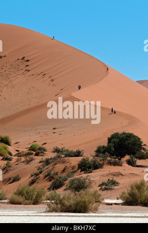 Tourists Climbing Big Mama Dune in Sossusvlei one of the HIghest Dunes in the World, Namibia Stock Photo