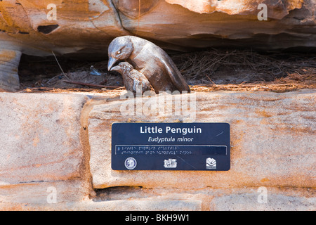 Statue of 2 Little Penquins with a sign in braile on the Cabbage Tree Bay Eco-Sculptue Walk Stock Photo