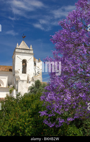 Portugal, the Algarve, Tavira, Santa Maria do Castelo church, with a Jacaranda tree in flower Stock Photo