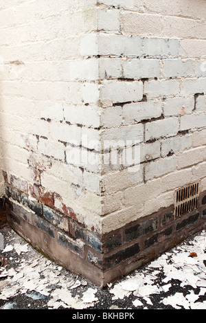 house maintenance brickwork in need of repointing and painting after removal of old flaking paint Stock Photo