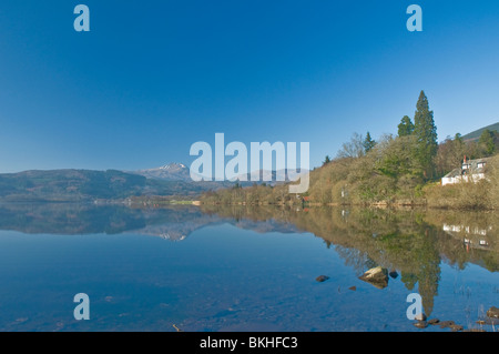 Tree on shore of Loch Ard with reflections looking to Ben Lomond in winter Stilring District Scotland Stock Photo