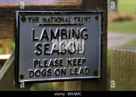 National Trust Lambing Season sign Stock Photo