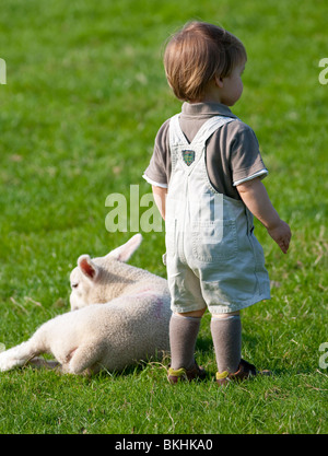 Young child standing in a field with a lamb lying beside him .Full colour vertical photograph. Stock Photo